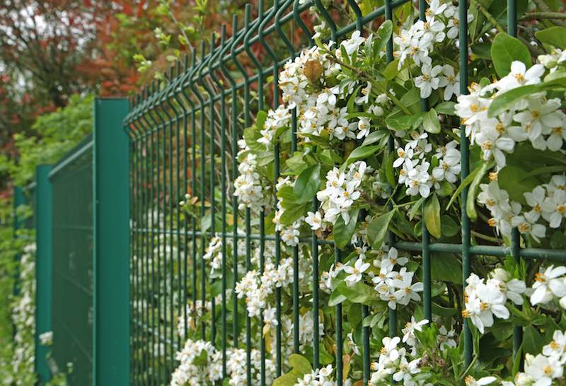 Ogrodzenie panelowe 03